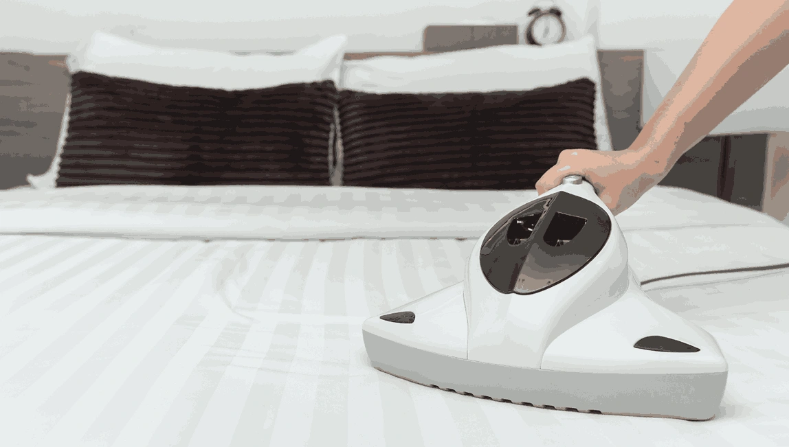 Professional Mattress Cleaning Hmas Cerberus